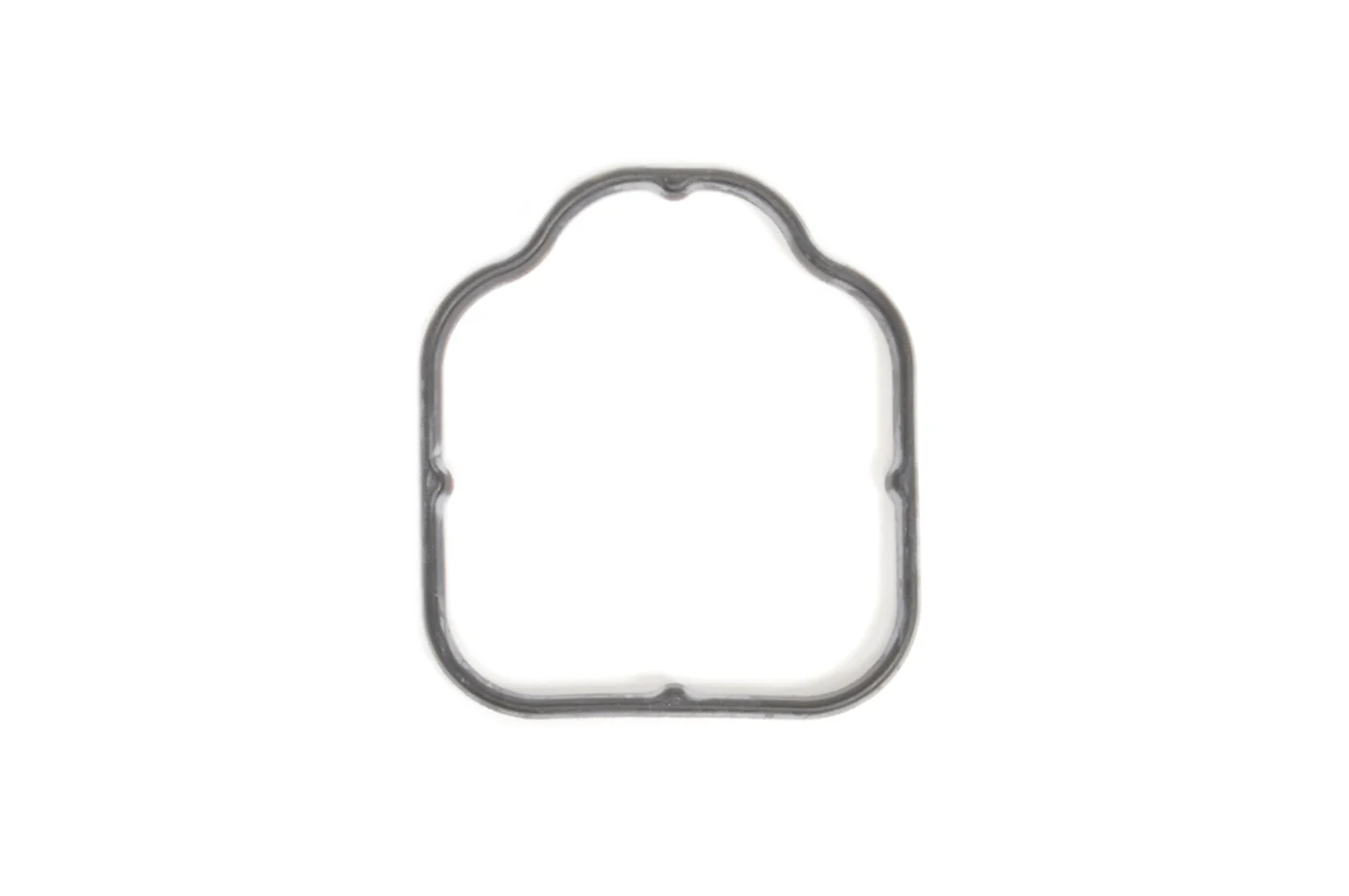 Audi OEM Water Pipe Gasket for R8 Huracan Gallardo (07L103121R)
