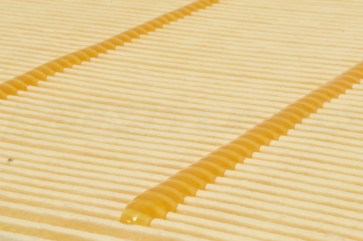 Mopar Air Filter for Trackhawk / Hellcat (53010798AD) - Image 5