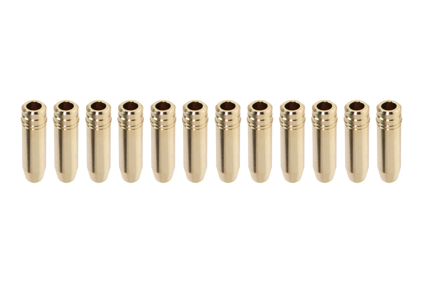 GSC R35 GTR Intake Valve Guides with Stopper (3046)