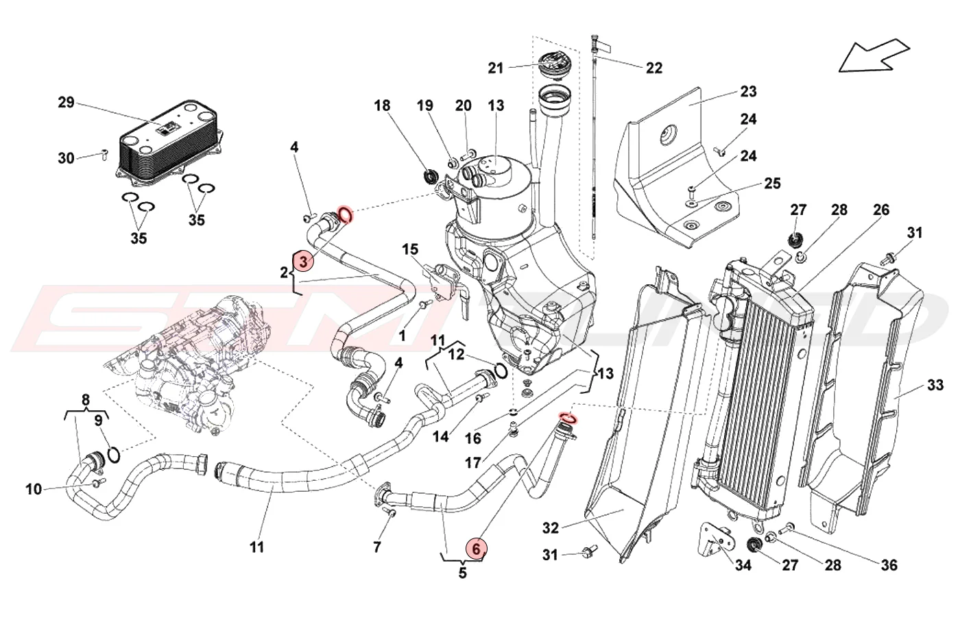 Audi OEM Oil Cooler Line Oring 26mm for R8 Gallardo (N91069701) - Image 3