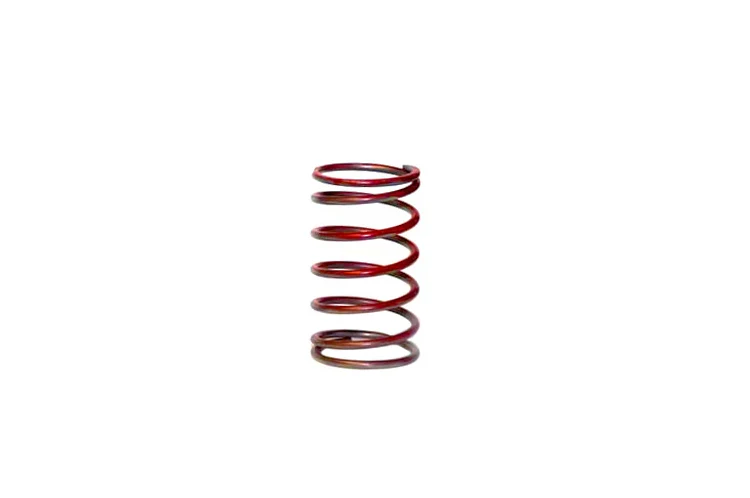 TiAL Sport Wastegate Springs for F38/F41/F46/V60 - Image 4